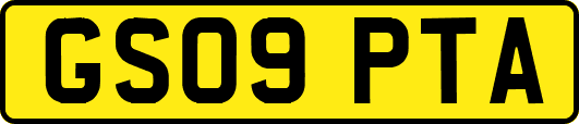 GS09PTA