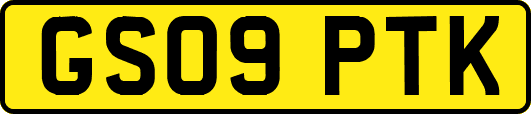 GS09PTK