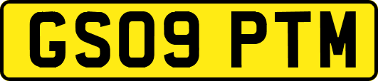 GS09PTM
