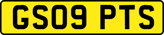 GS09PTS