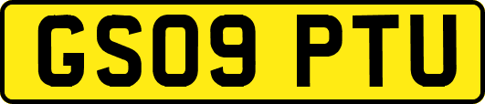 GS09PTU