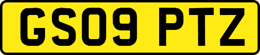 GS09PTZ