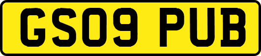 GS09PUB