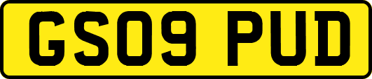 GS09PUD