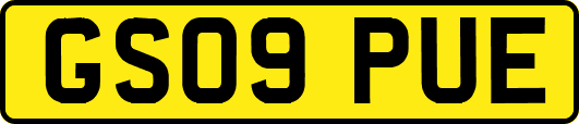 GS09PUE