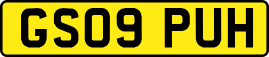 GS09PUH