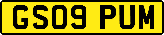 GS09PUM