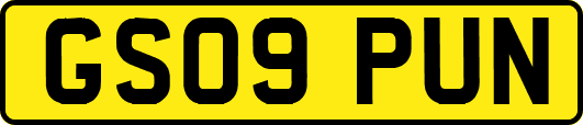 GS09PUN