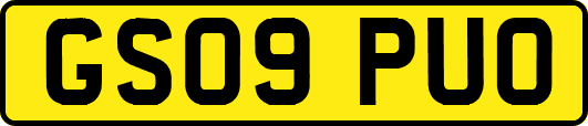 GS09PUO