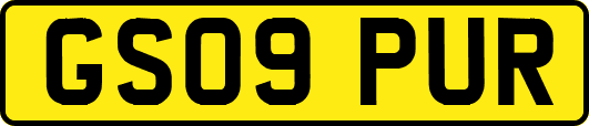 GS09PUR
