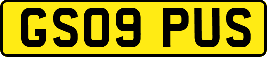 GS09PUS