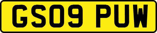 GS09PUW