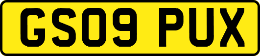 GS09PUX