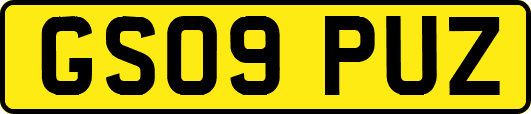 GS09PUZ