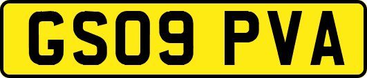 GS09PVA