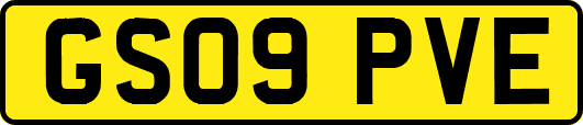 GS09PVE