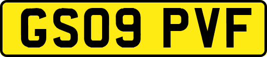GS09PVF