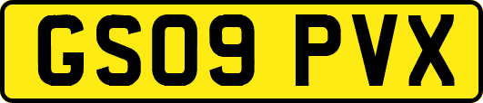 GS09PVX