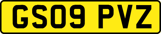 GS09PVZ
