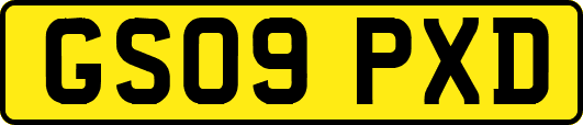 GS09PXD