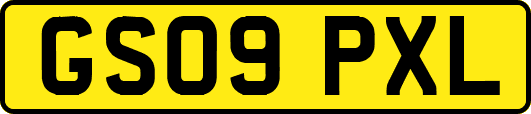 GS09PXL