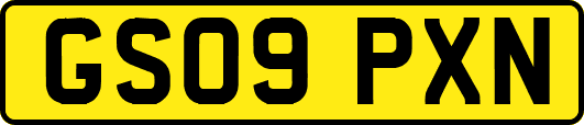 GS09PXN
