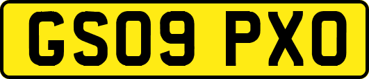 GS09PXO
