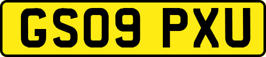 GS09PXU