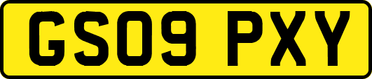 GS09PXY