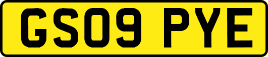 GS09PYE