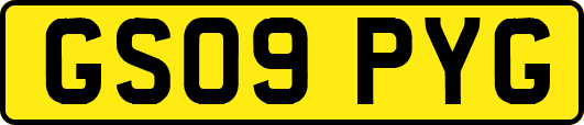 GS09PYG