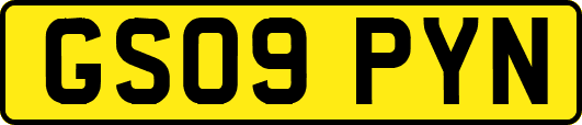 GS09PYN