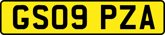 GS09PZA