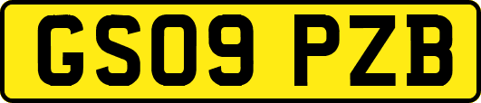 GS09PZB