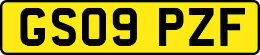 GS09PZF