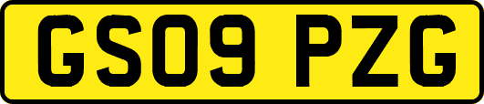 GS09PZG