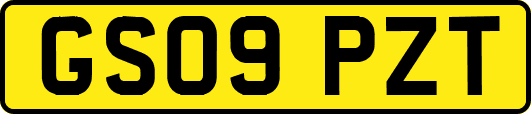 GS09PZT