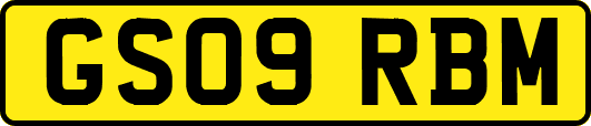 GS09RBM