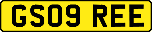 GS09REE