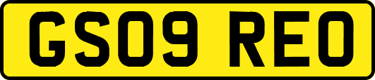 GS09REO