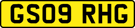 GS09RHG