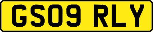 GS09RLY