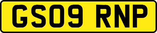 GS09RNP