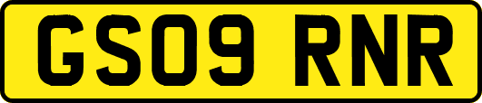 GS09RNR