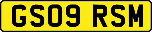 GS09RSM