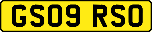GS09RSO