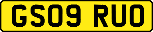 GS09RUO