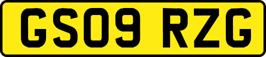 GS09RZG