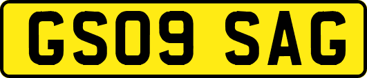 GS09SAG