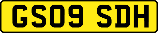 GS09SDH